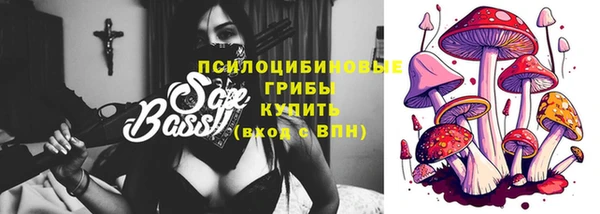 соль ск Дмитров