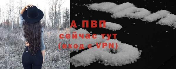 соль ск Дмитриев
