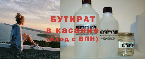 соль ск Дмитриев