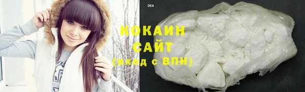 соль ск Дмитров