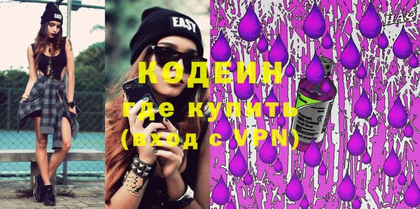 соль ск Дмитриев