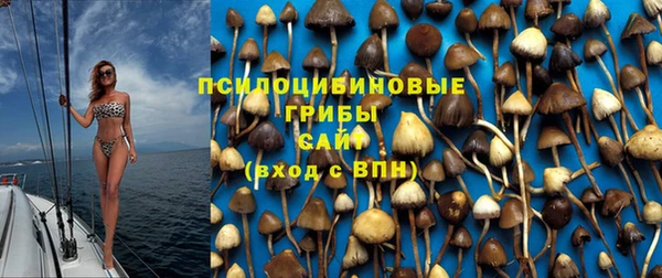 соль ск Дмитров