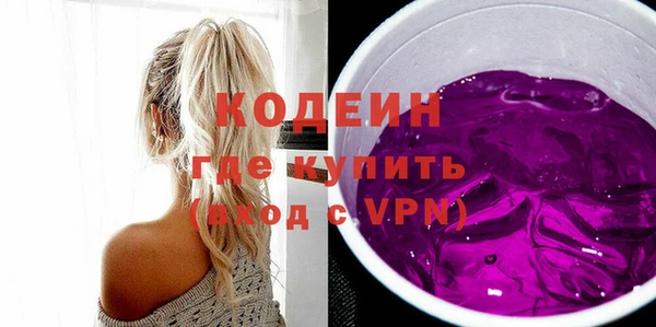 соль ск Дмитриев