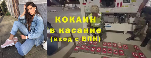 соль ск Дмитриев