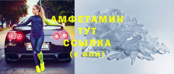 соль ск Дмитриев