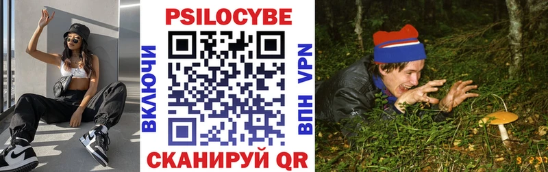 Галлюциногенные грибы Psilocybine cubensis  Улан-Удэ 